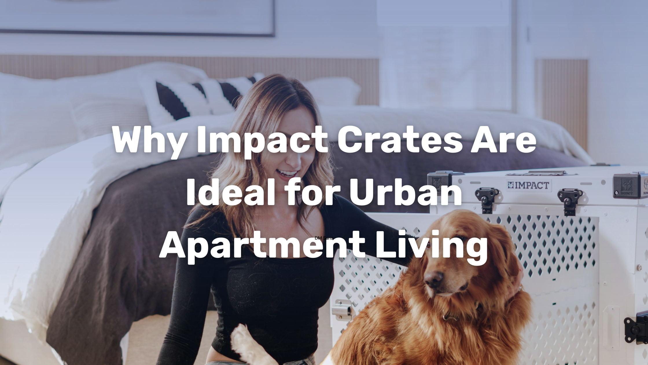 Dog Crates For Urban Apartment Living photo