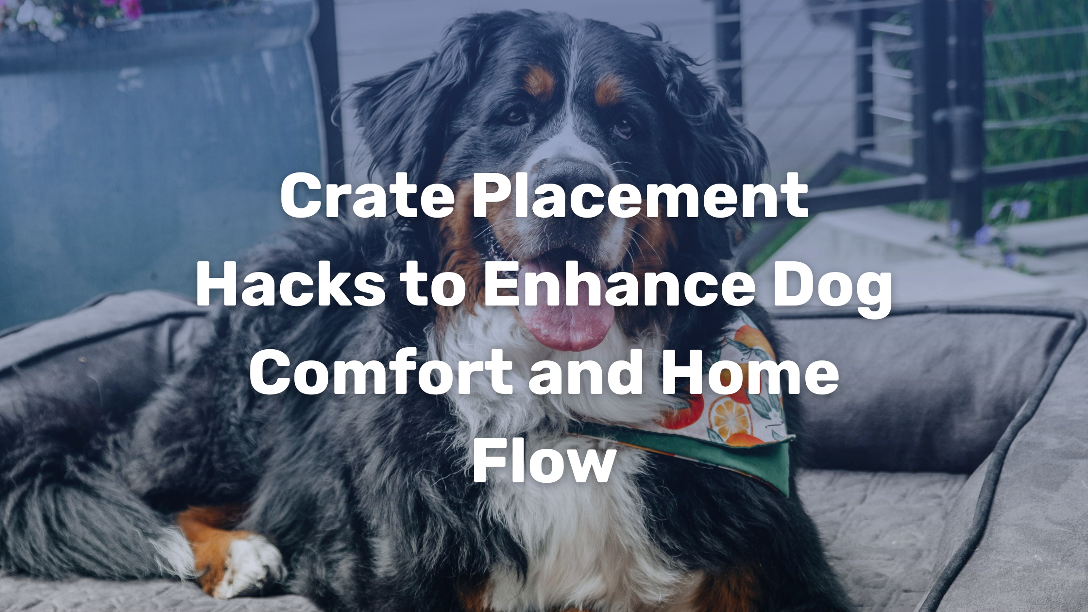 Illustration of Dog Crate Placement And Distance From Fireplace