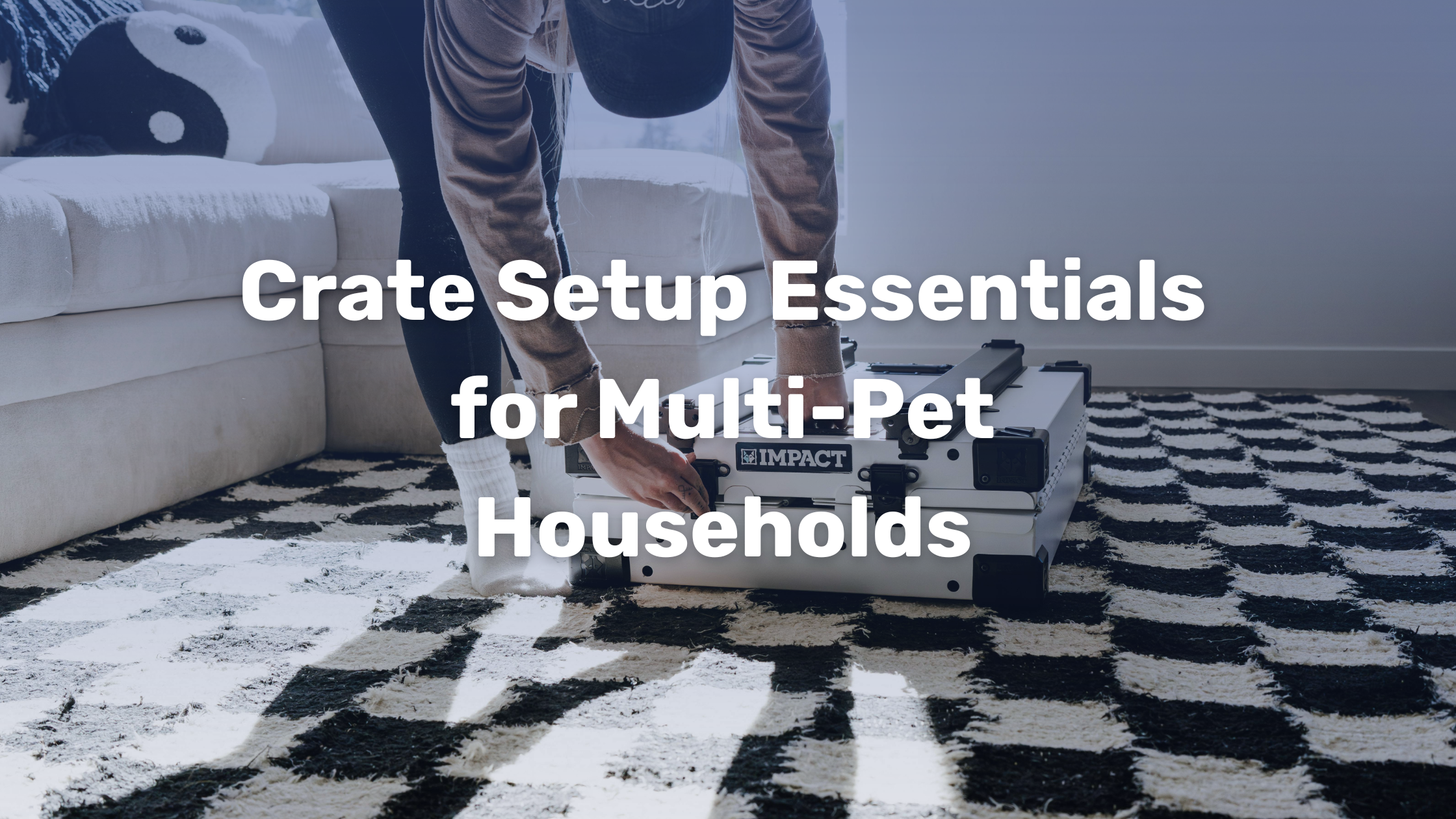 Image showcasing Crate Setup Essentials for Multi-Pet Households – Impact Dog Crates