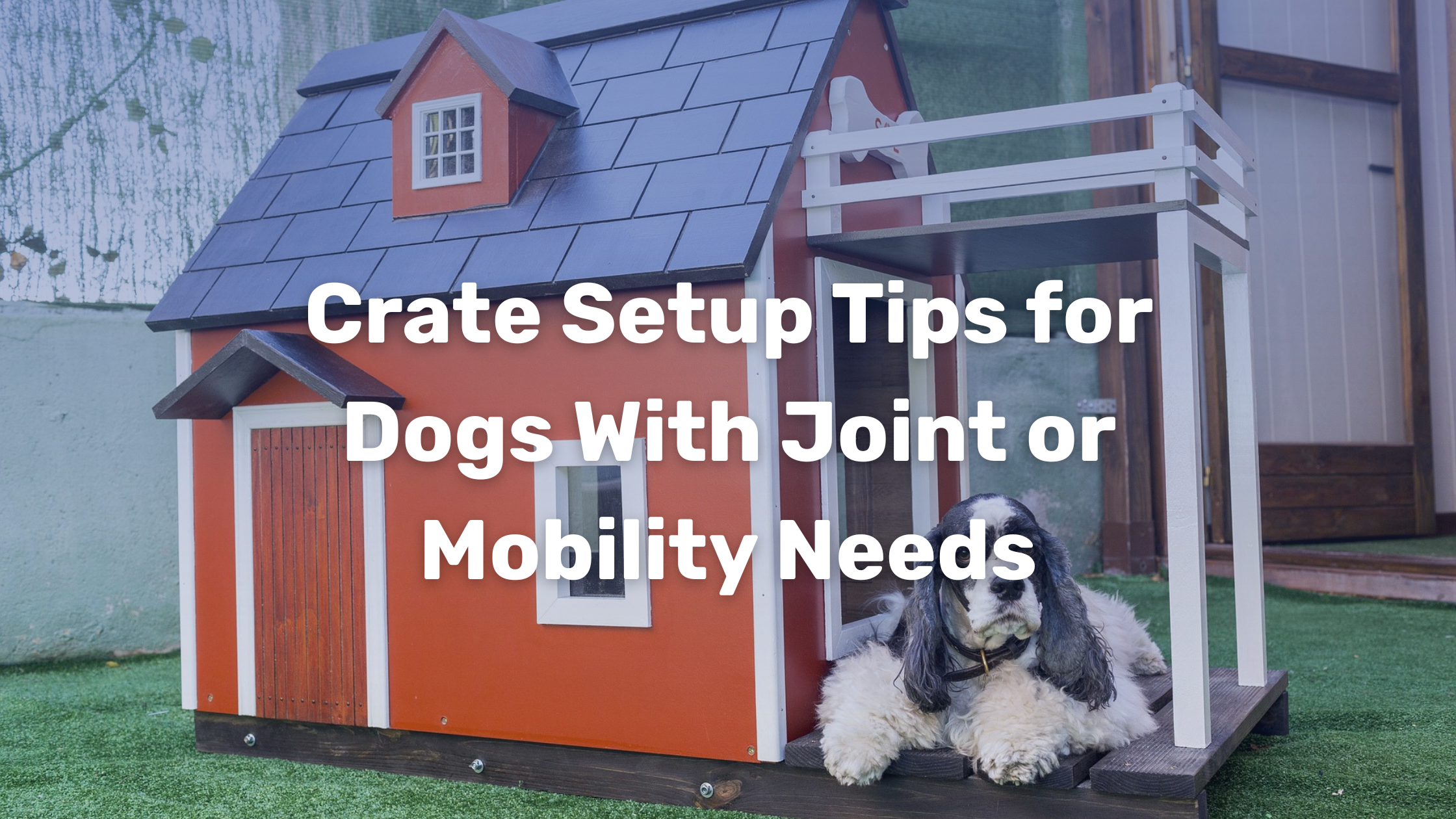 Crate Setup Tips for Dogs With Joint or Mobility Needs – Impact Dog Crates - Foam Crate For Dogs With Reduced Mobility