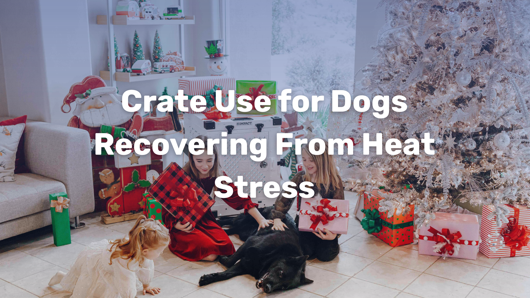 Photo inspiration: Gallery Detail: Crate Use For Dogs Recovering From Heat Stress