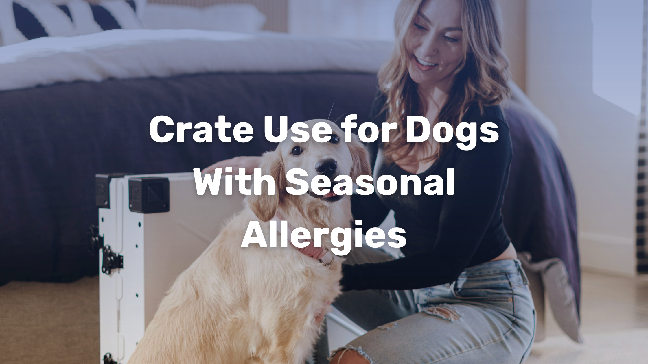 Crate Use for Dogs With Seasonal Allergies – Impact Dog Crates - Dog Crate For Allergy Sufferers With Good Airflow