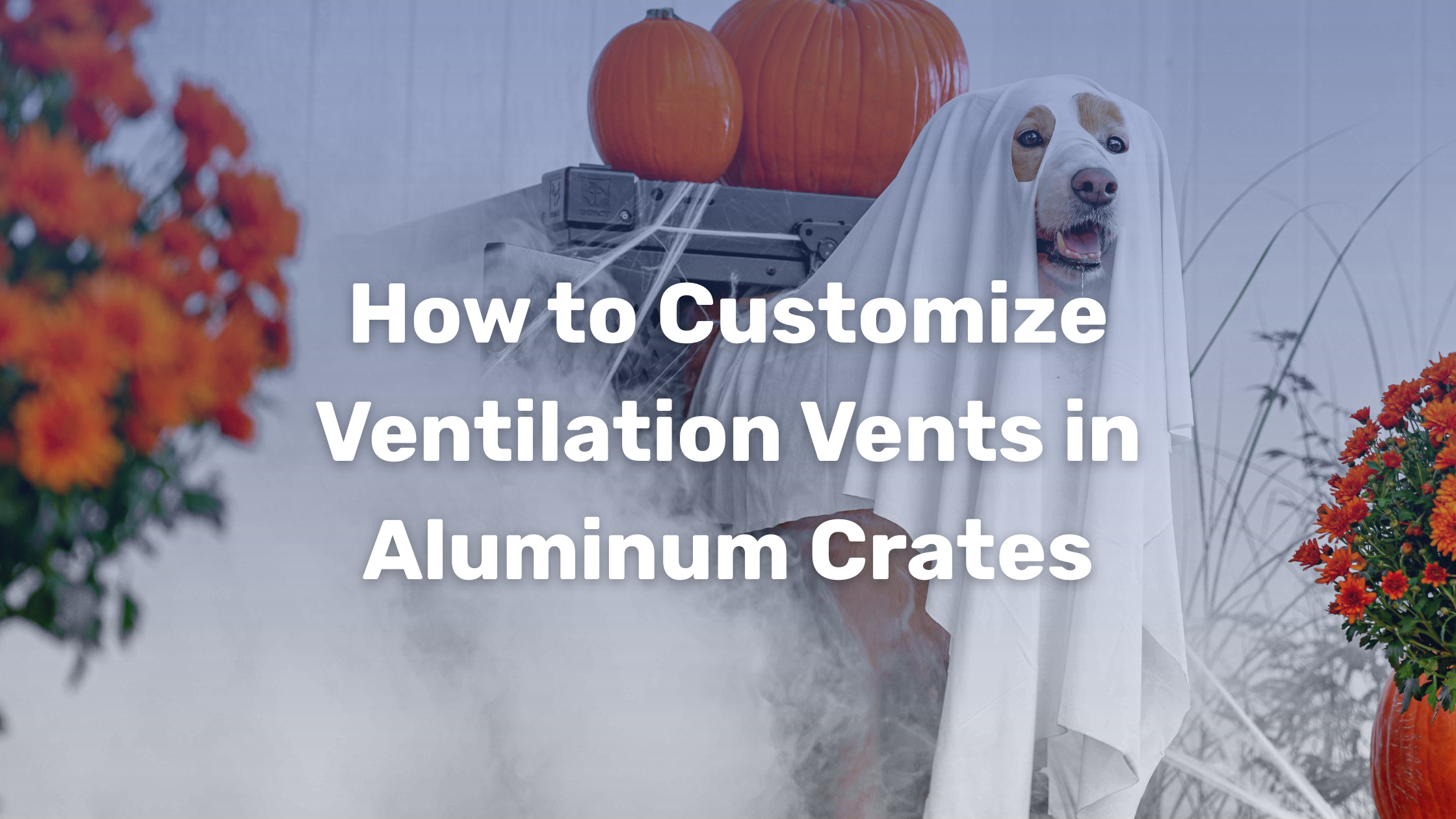 Image showcasing How to Customize Ventilation Vents in Aluminum Crates – Impact Dog Crates