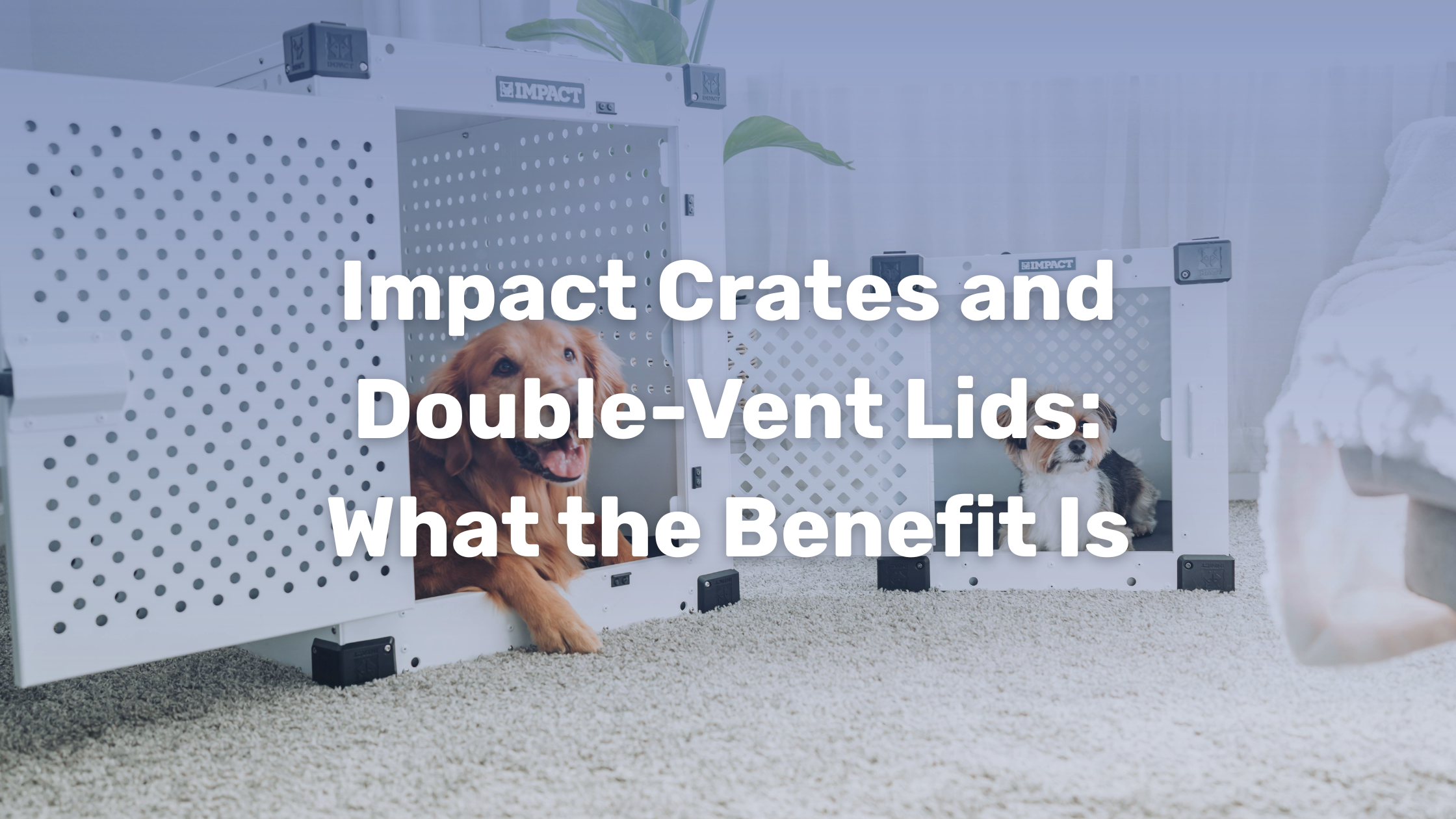 Photo inspiration: Gallery Detail: Impact Crates And Double Vent Lids What Is The Benefit