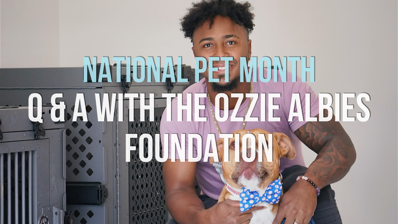 National Pet Month: Q & A with the Ozzie Albies Foundation – Impact Dog  Crates