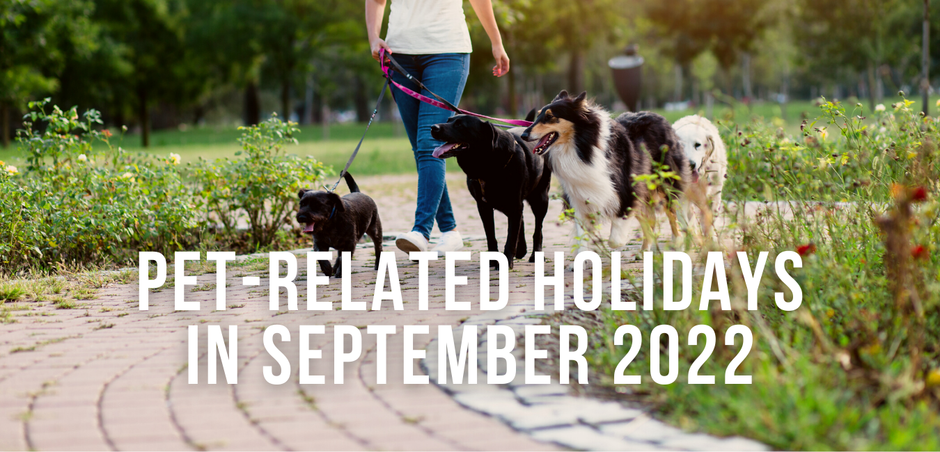 PetRelated Holidays in September 2022 Impact Dog Crates