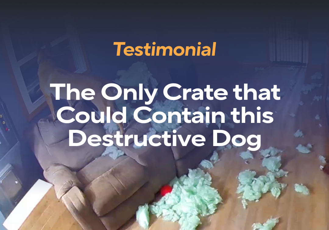 Testimonial: The Only Crate that Could Contain this Destructive Dog ... - Crate For Small Destructive Dogs
