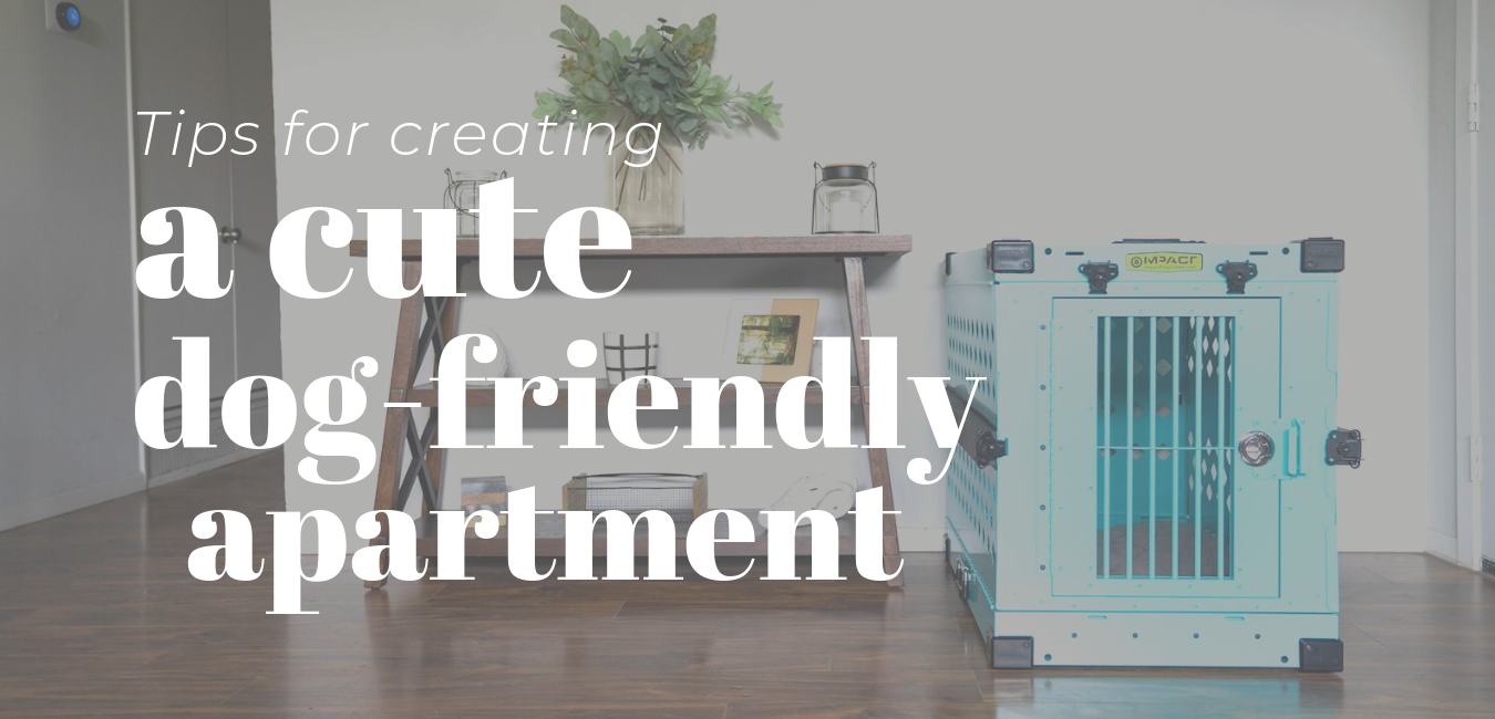 Tips for Creating a Cute DogFriendly Apartment Impact Dog Crates