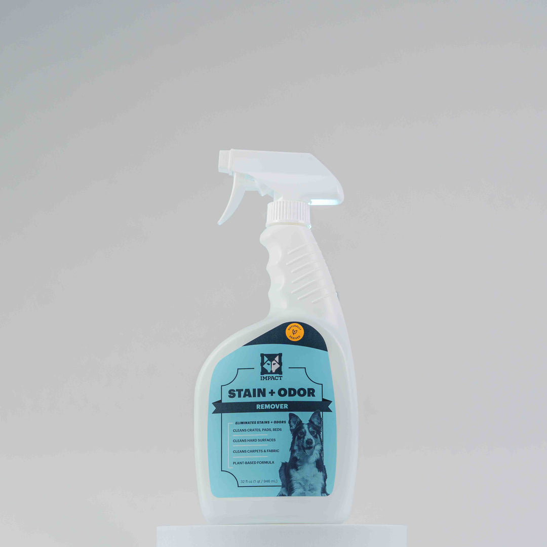 Impact Stain Odor Remover