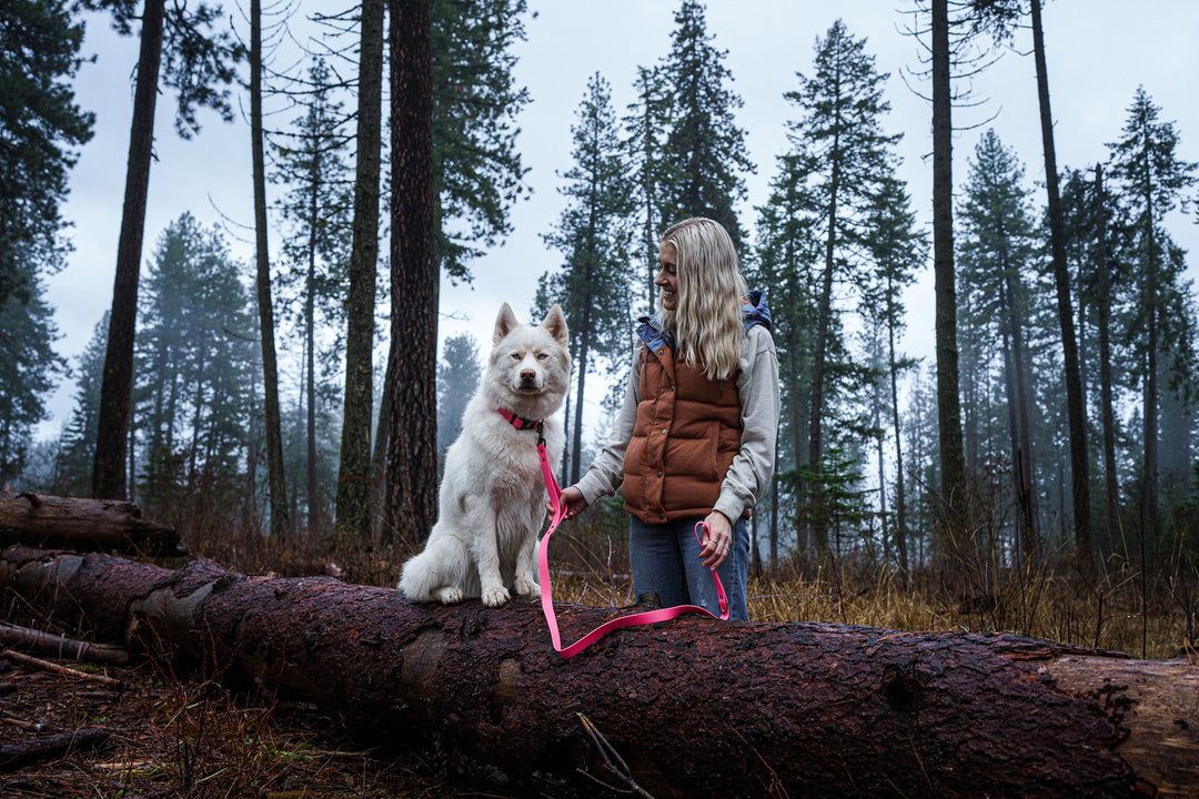 Blonde haired woman with her white dog in the forest sitting on a fallen tree with Impacts Pink Biothane Dog Leash and Collar