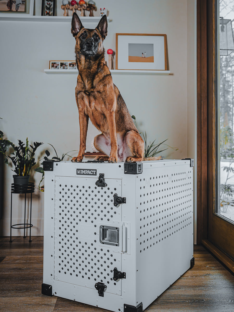 High Anxiety