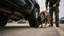 Dog sniffing under a vehicle with a person holding a leash in an outdoor setting