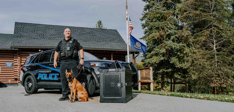 Trusted By Professionals