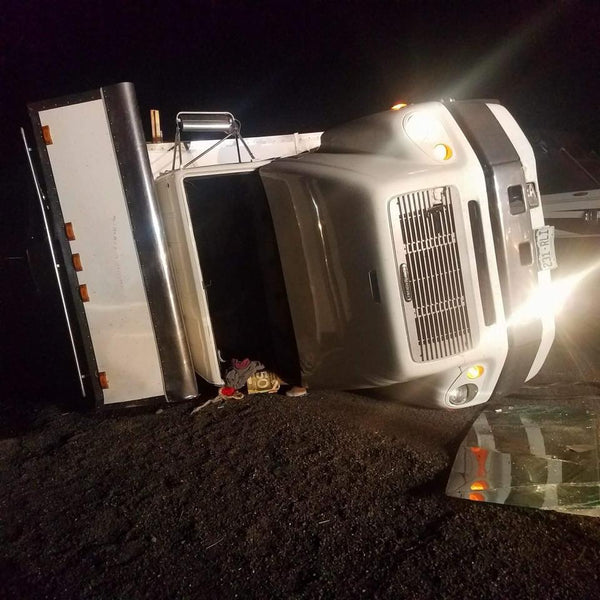 all 9 dogs safe in rollover accident while traveling in Impact Dog Crates