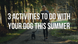 3 Activities to do With Your Dog This Summer