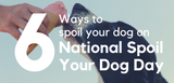 6 ways to spoil your dog on national spoil your dog day