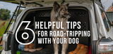 6 helpful tips for road-tripping with your dog