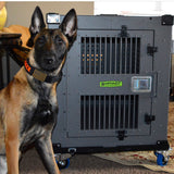 Determined Belgian Malinois with separation anxiety has finally met his match, a dog crate that can keep him contained, and safe.