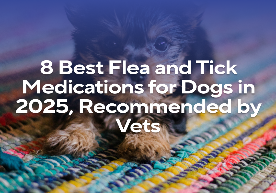 8 Best Flea and Tick Medications for Dogs in 2025, Recommended by Vets ...