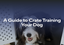 A Guide to Crate Training Your Dog