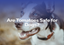 Are Tomatoes Safe for Dogs?