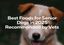 Best Foods for Senior Dogs in 2025 Recommended by Vets