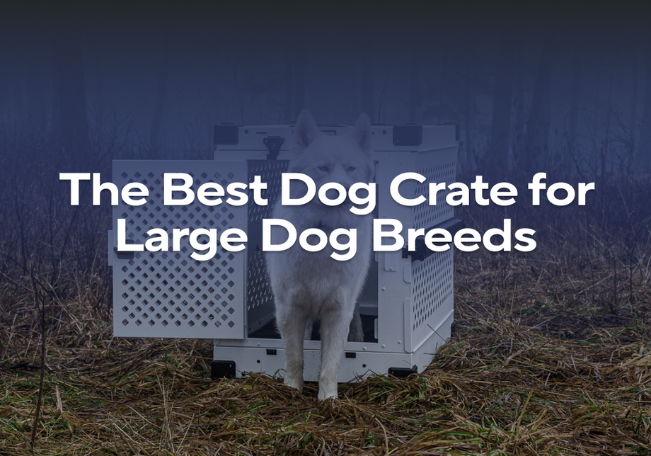 Illustration of Crates For Large Dog Breeds