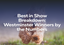Best in Show Breakdown: Westminster Winners by the Numbers