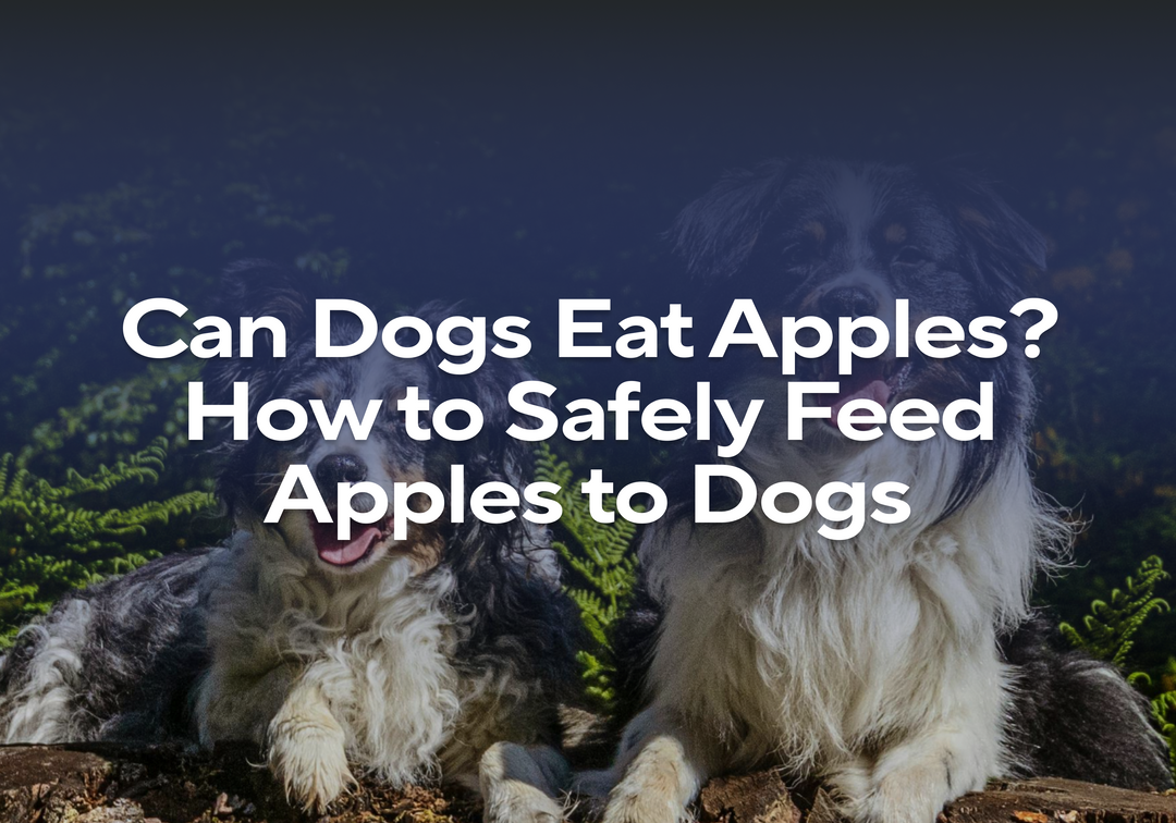 Can Dogs Eat Apples Skin? Discover the Surprising Truth