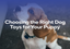 Choosing the Right Dog Toys for Your Puppy