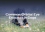 Common Orbital Eye Diseases in Dogs