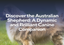 Discover the Australian Shepherd: A Dynamic and Brilliant Canine Companion