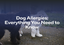 Dog Allergies: Everything You Need to Know