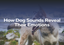 How Dog Sounds Reveal Their Emotions