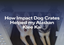 How Impact Dog Crates Helped my Alaskan Klee Kai