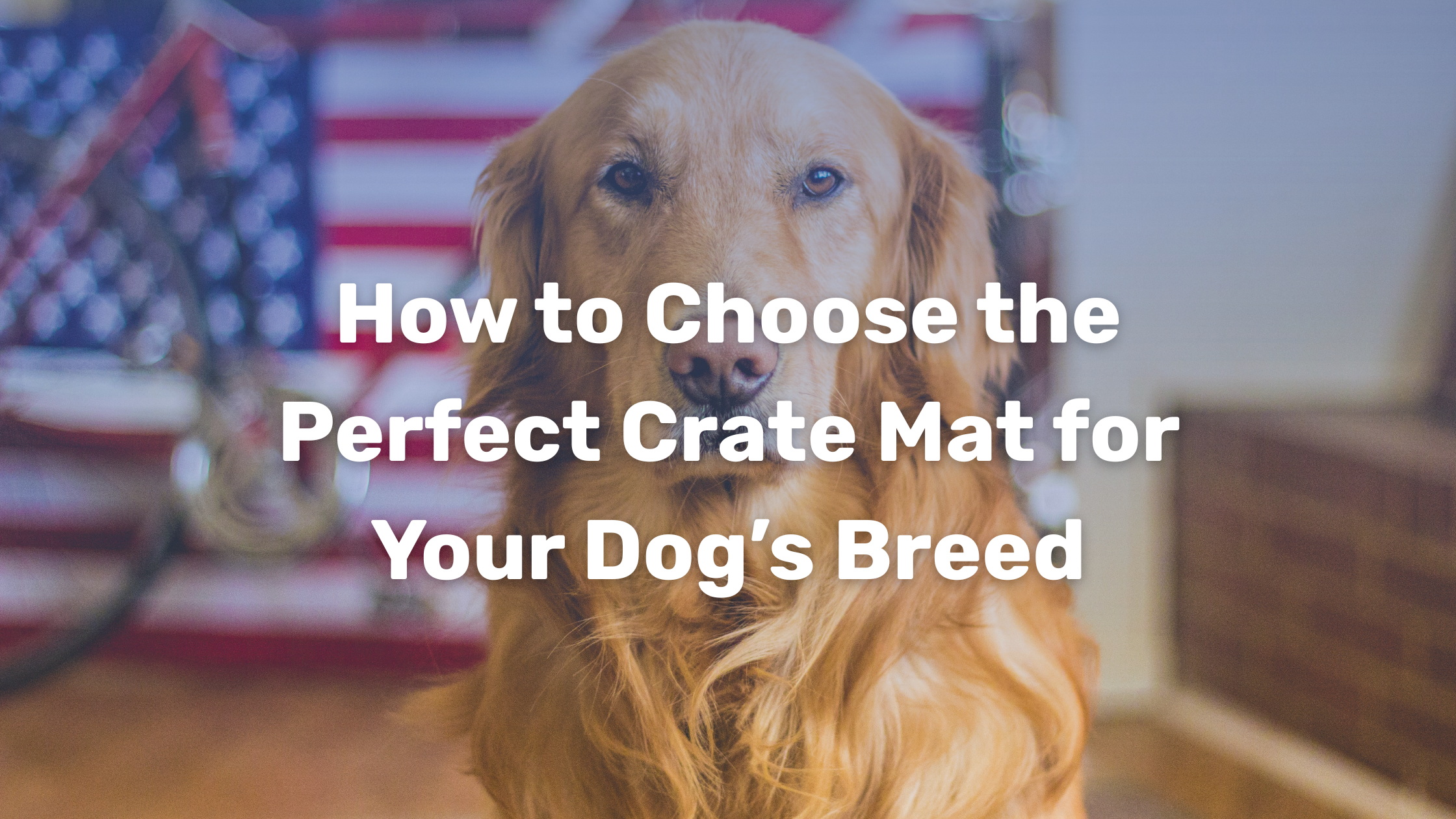 How to Choose the Perfect Crate Mat for Your Dog’s Breed – Impact Dog ...