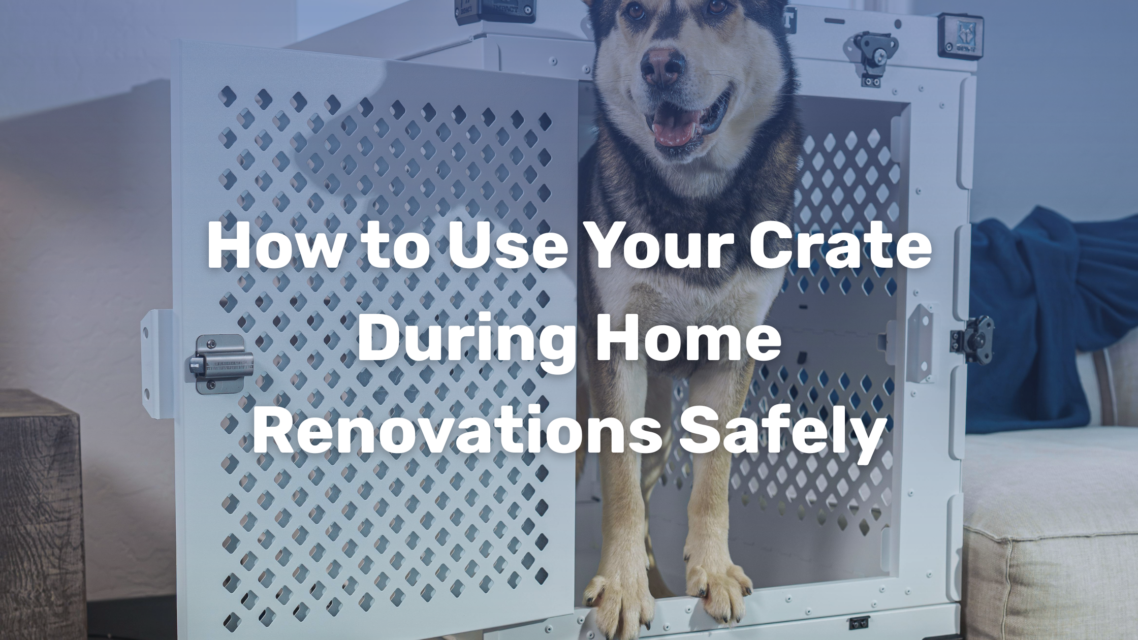 How to Use Your Crate During Home Renovations Safely – Impact Dog Crates