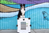 5 TIPS TO HELP MAKE YOUR PUP LOVE THEIR CRATE!