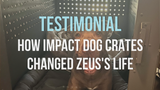 TESTIMONIAL: How Impact Dog Crates Changed Zeus's Life