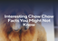 Interesting Chow Chow Facts You Might Not Know