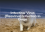Intestinal Virus (Reovirus) Infection in Dogs
