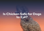 Is Chicken Safe for Dogs to Eat?
