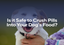 Is It Safe to Crush Pills Into Your Dog’s Food?