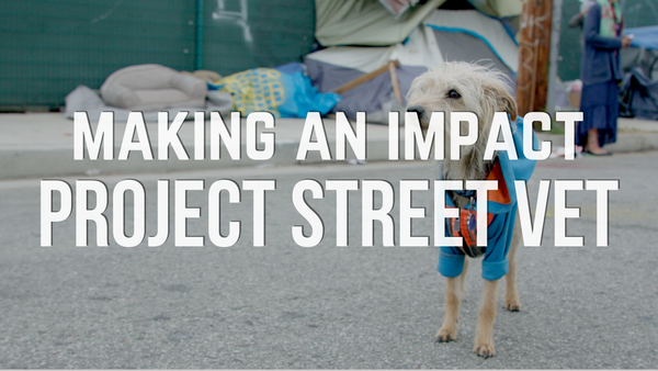 Making an Impact: Q & A with Dr. Kwane Stewart from Project Street Vet