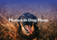 Mucus in Dog Poop