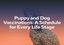 Puppy and Dog Vaccinations: A Schedule for Every Life Stage