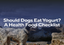Should Dogs Eat Yogurt? A Health Food Checklist