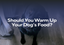 Should You Warm Up Your Dog’s Food?