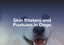 Skin Blisters and Pustules in Dogs