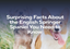 Surprising Facts About the English Springer Spaniel You Need to Know